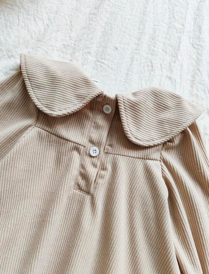 Beige Ruffle Hem Dress with Embroidered Collar